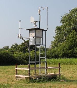 Pollenfalle Ganderkesee ab Anfang 2010